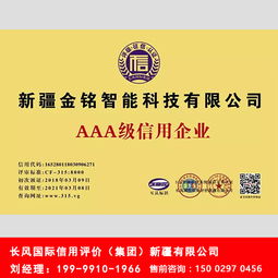 為什么選擇長風國際，新疆經驗豐富的企業信用評級專家