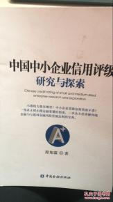 中國(guó)中小企業(yè)信用評(píng)級(jí)體系的構(gòu)建與創(chuàng)新路徑探析